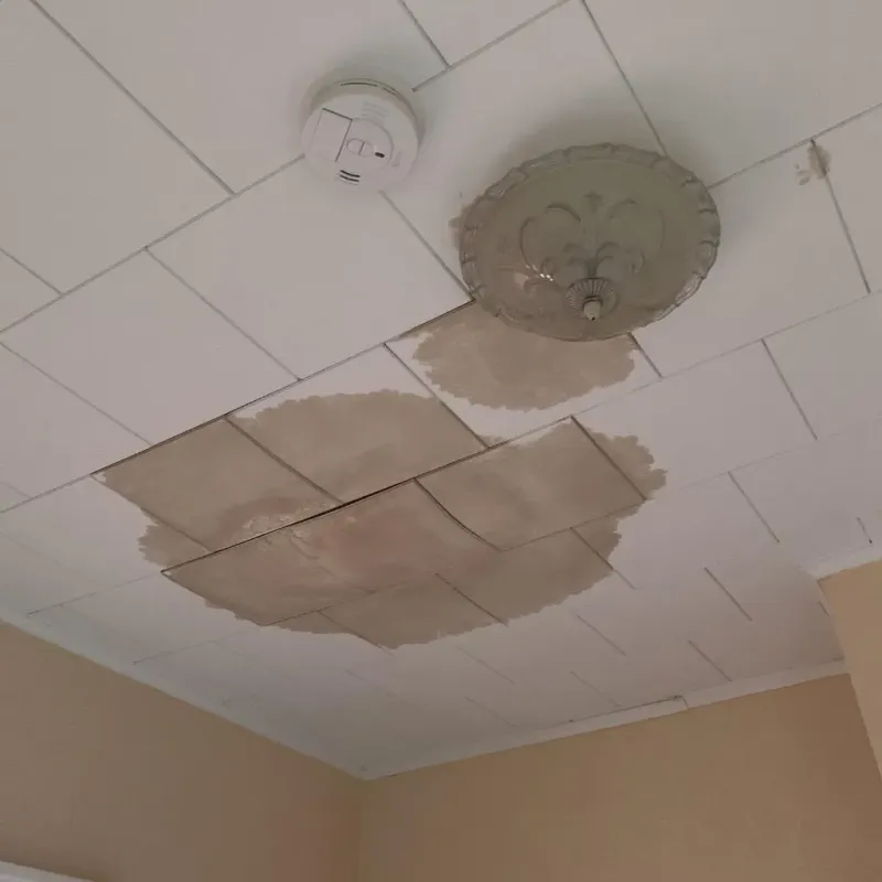 Ceiling Water Damage Repair in Kanawha County, WV