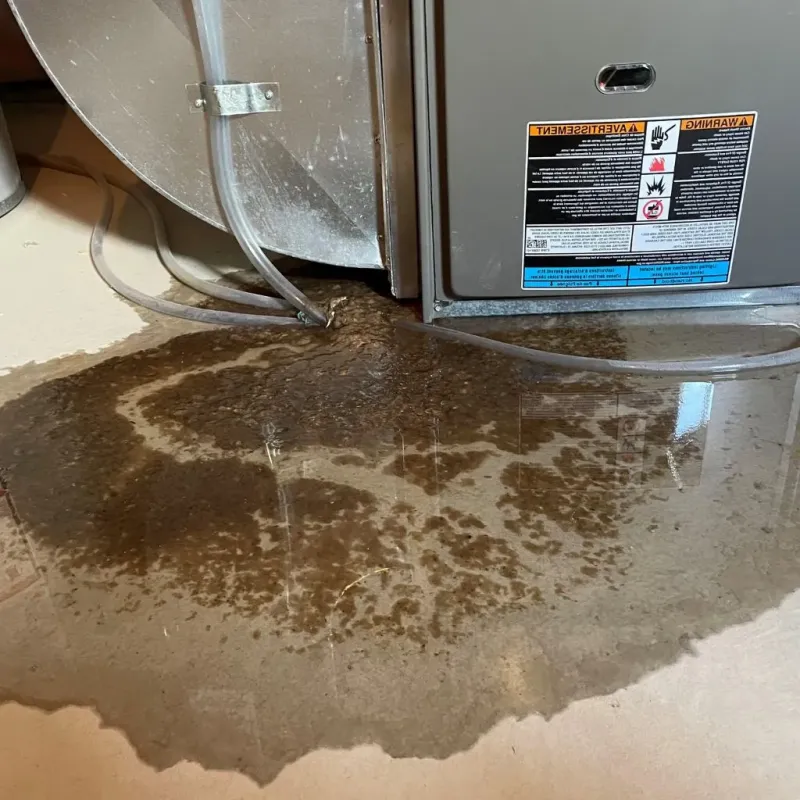 Pipe Burst and Leak Restoration in Kanawha County, WV