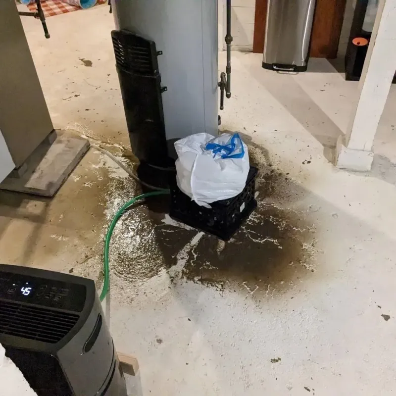 Sewage Backup Cleanup Service in Kanawha County, WV